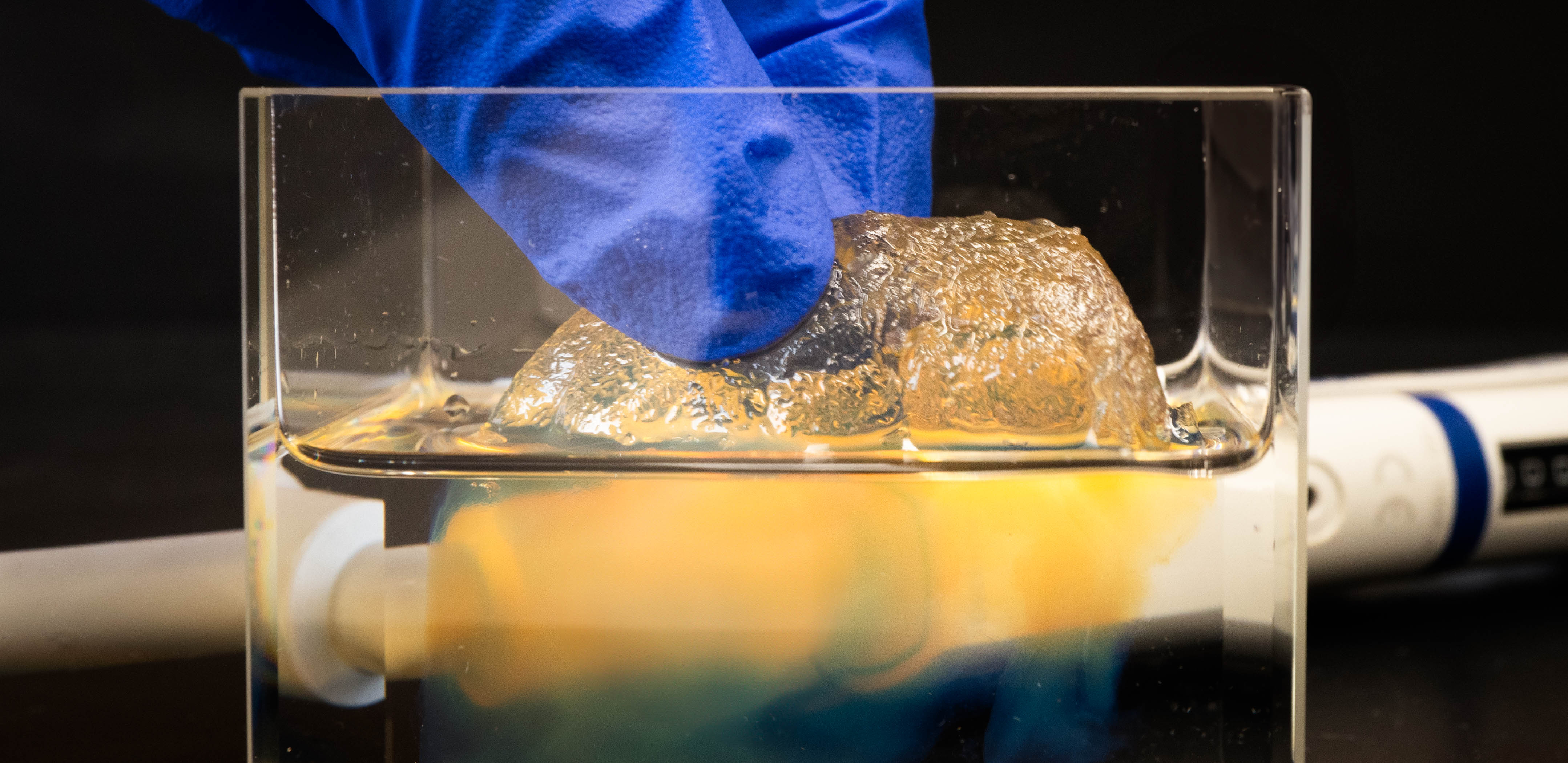 Rebuilding Brain Research Infrastructure